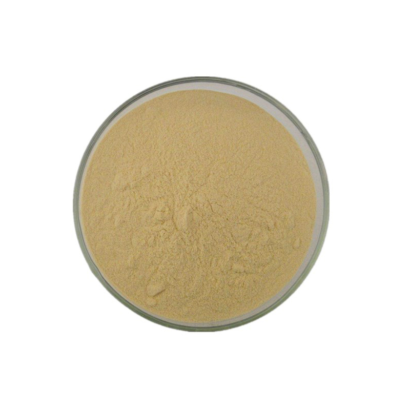 Tannic Acid CAS 1401-55-4