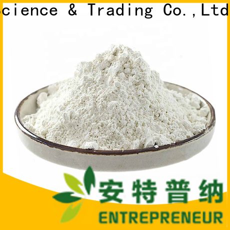 Entrepreneur Hydrophilic Fumed Silica