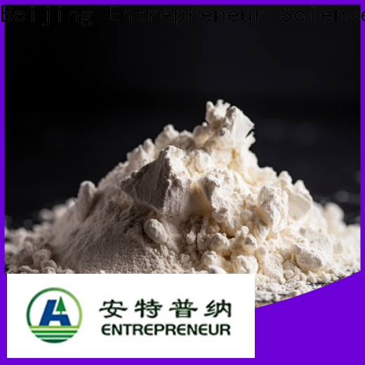 Entrepreneur Safe To Use Hydrophilic Fumed Silica factory direct supply for wholesale